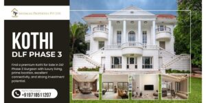 kothi for sale dlf phase 3
